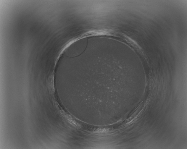 X0000056351174200509021714