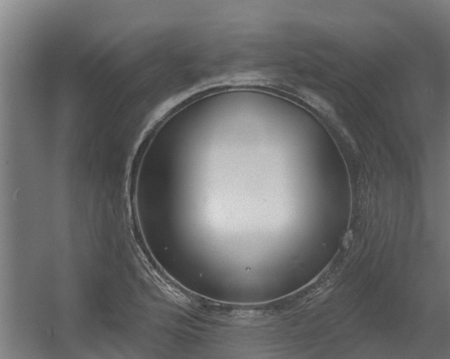 X0000056351176200509021714