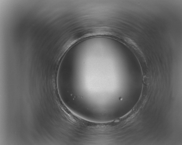 X0000056351177200509021714