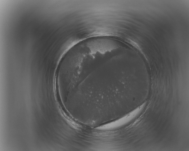 X0000056351179200509021714