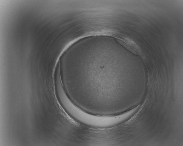 X0000056351184200509021714