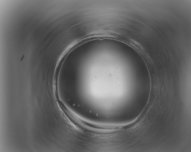 X0000056351188200509021714