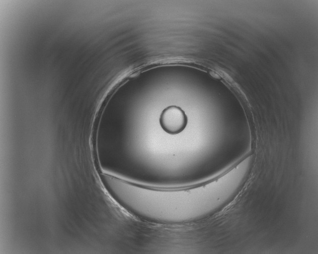 X0000056351189200509021714