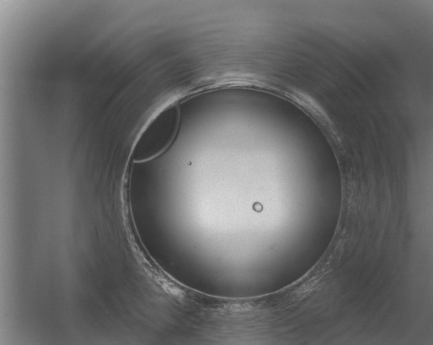 X0000056351190200509021714