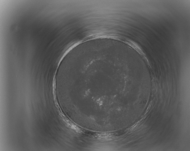 X0000056351198200509021713