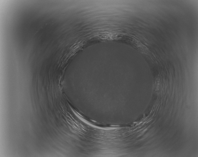 X0000056351202200509021713