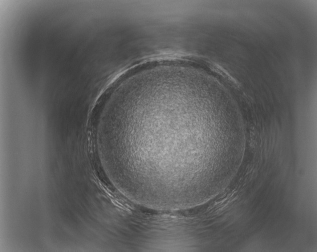 X0000056351208200509021713