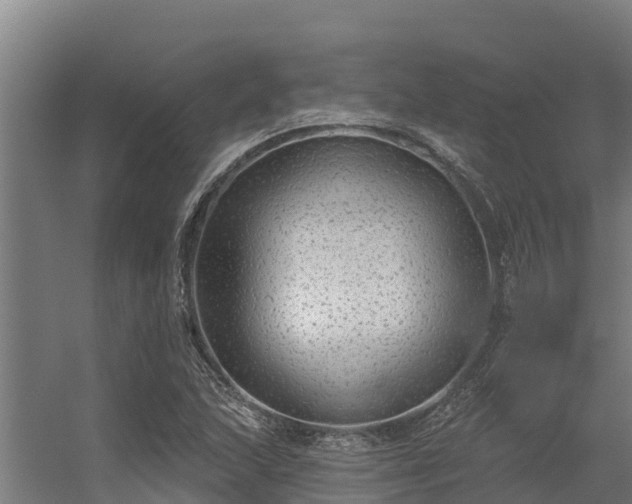 X0000056351215200509021713