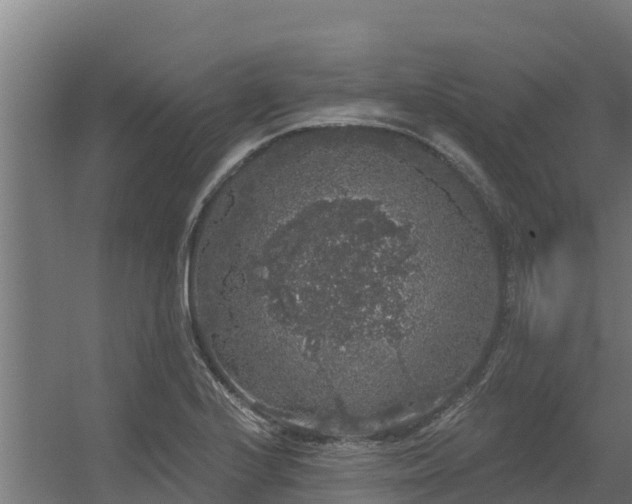 X0000056351224200509021713