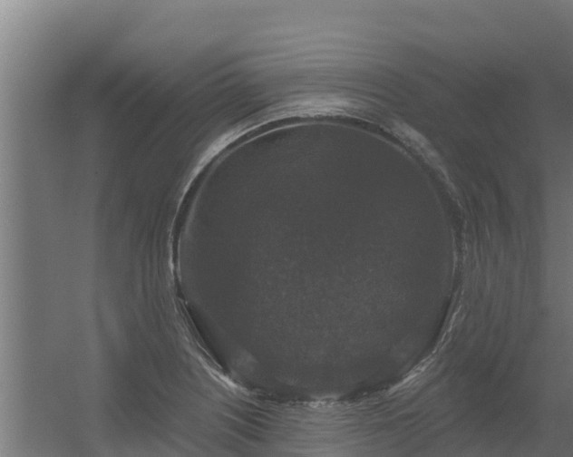 X0000056351226200509021713