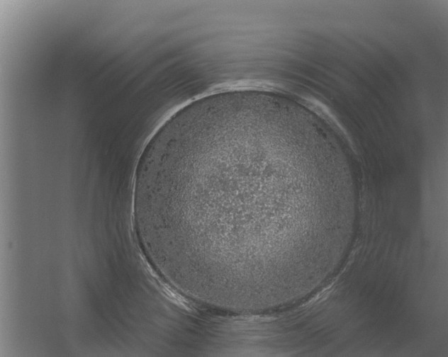 X0000056351228200509021713