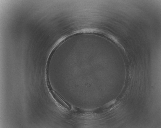 X0000056351229200509021713