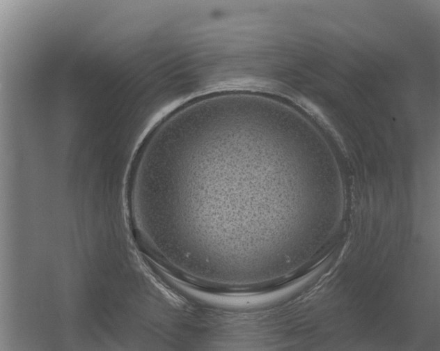 X0000056351230200509021713