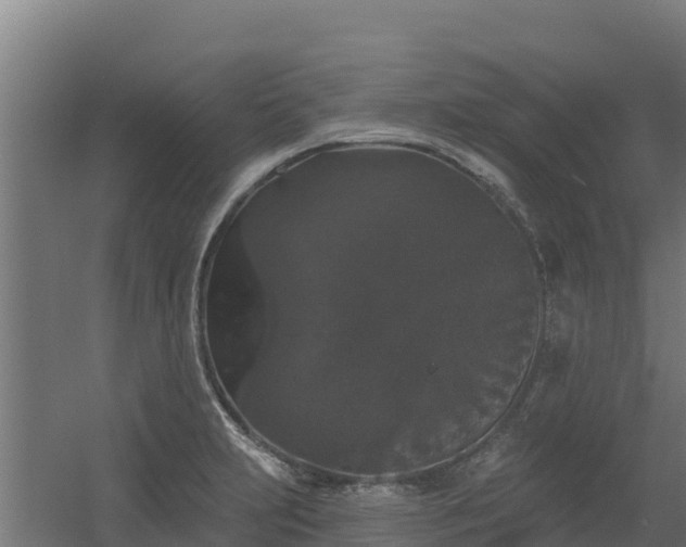 X0000056351231200509021713