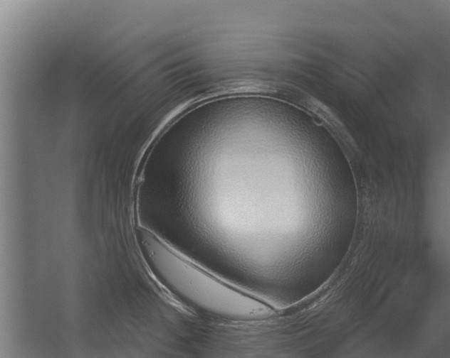 X0000056351236200509021713