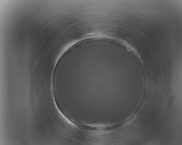 X0000056351239200509021713