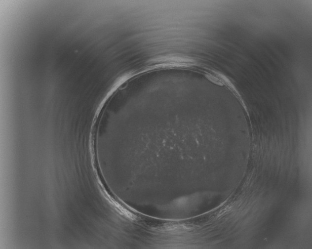 X0000056351243200509021713