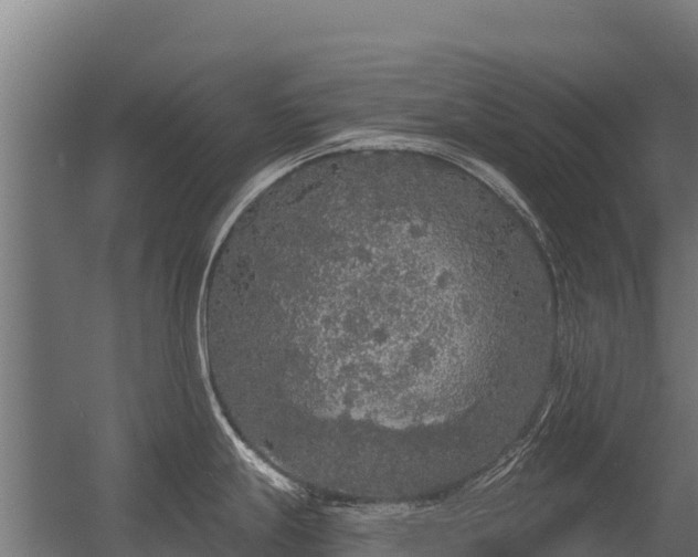 X0000056351247200509021713