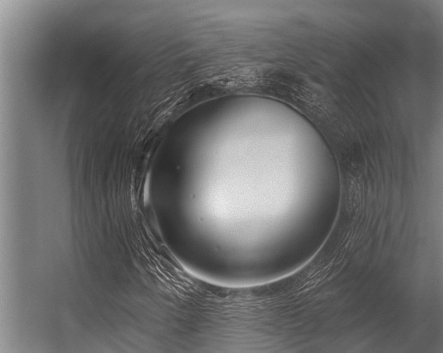 X0000056351250200509021713