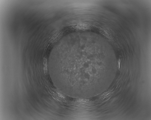 X0000056351251200509021713