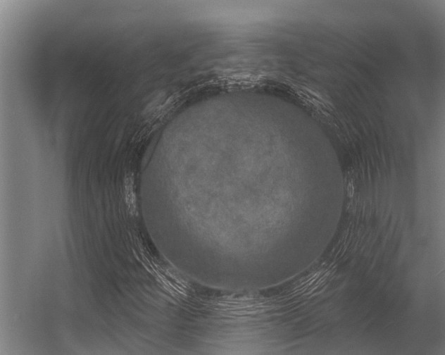 X0000056351252200509021713