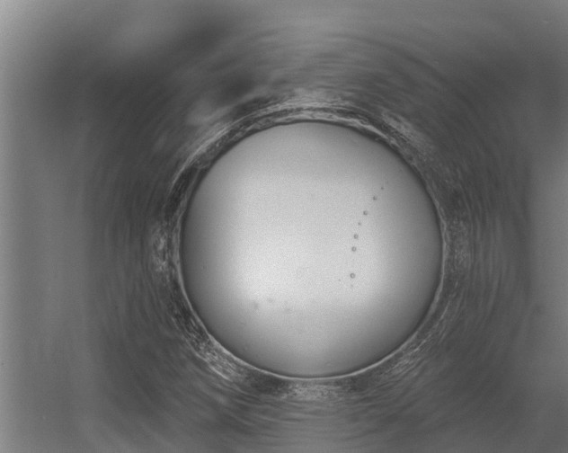 X0000056351258200509021712