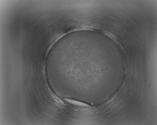 X0000056351260200509021712