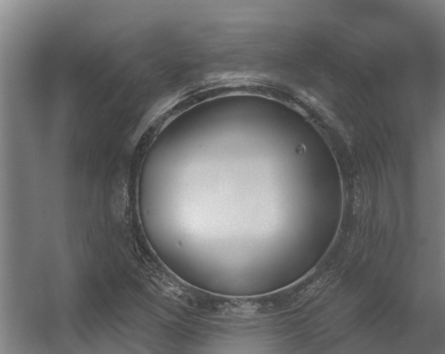 X0000056351261200509021712