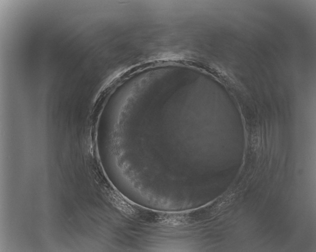 X0000056351262200509021712