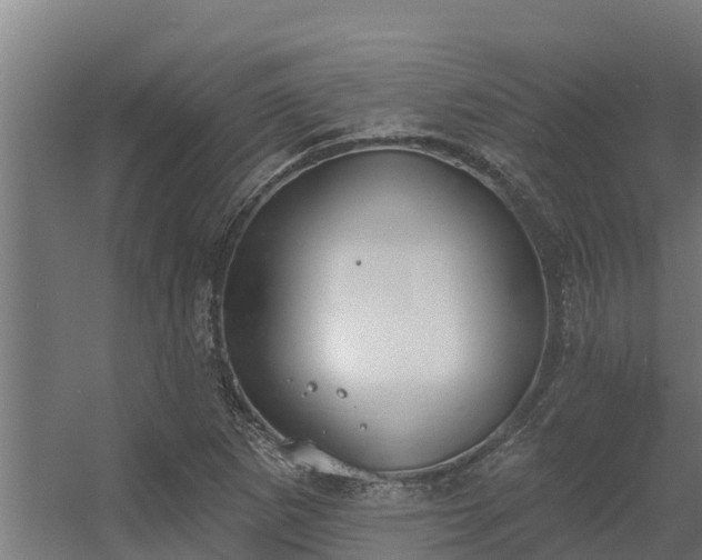 X0000056351265200509021712