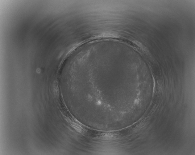 X0000056351266200509021712