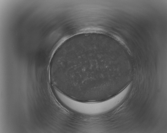 X0000056351275200509021712