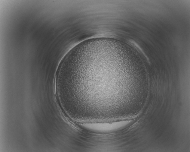 X0000056351276200509021712