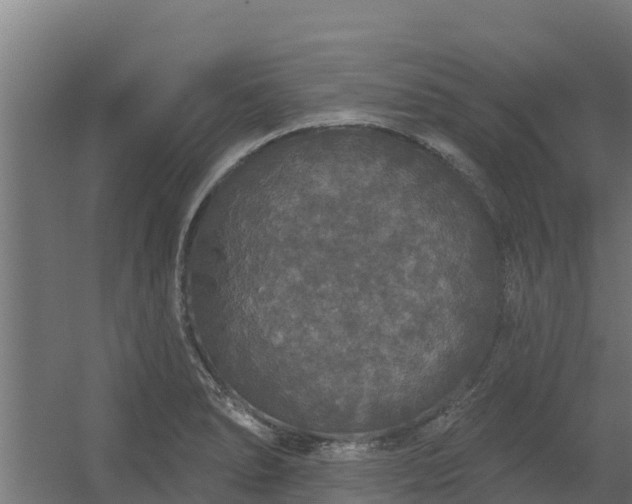 X0000056351278200509021712