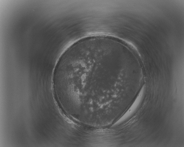 X0000056351279200509021712