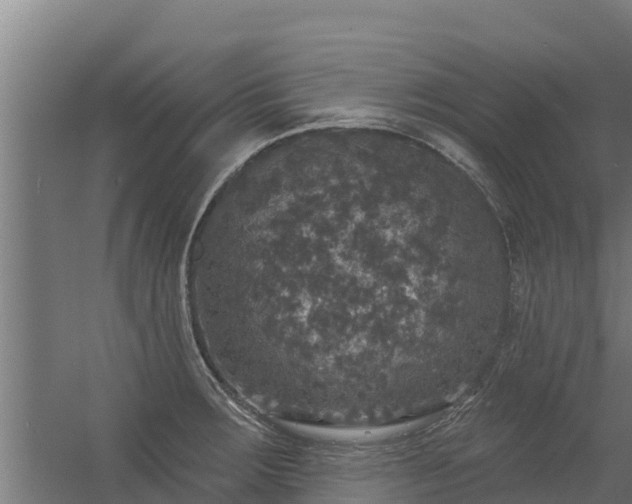 X0000056351283200509021712