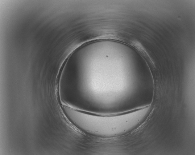 X0000056351284200509021712