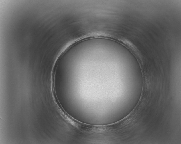 X0000056351286200509021712