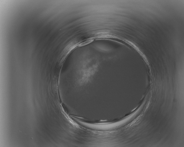 X0000056351289200509021712