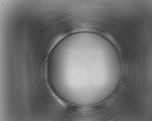 X0000056351290200509021712