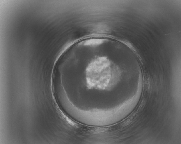 X0000056351294200509021712