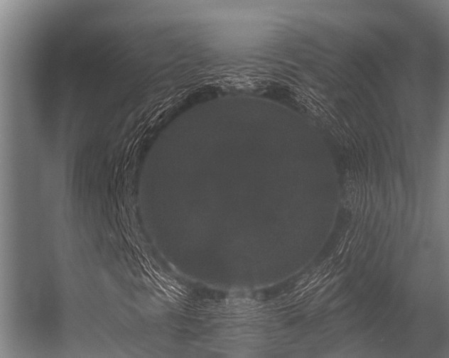 X0000056351297200509021711