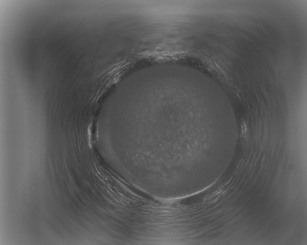 X0000056351300200509021711