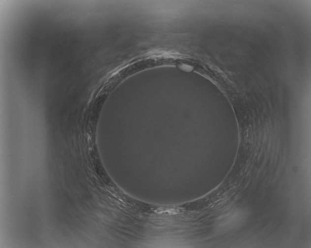 X0000056351303200509021711