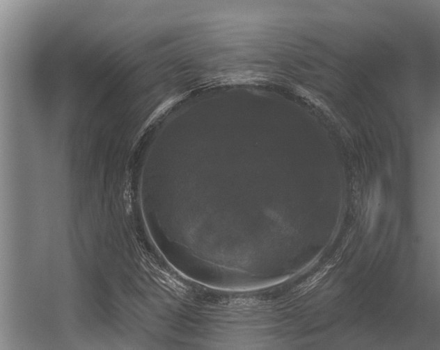 X0000056351306200509021711