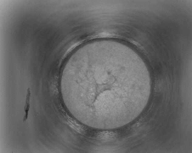 X0000056351314200509021711