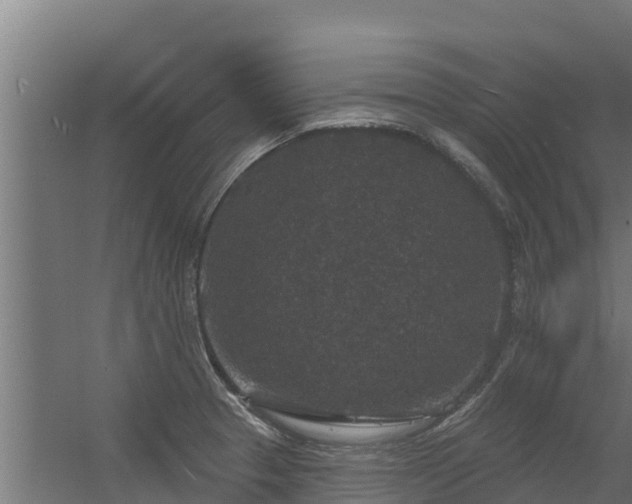 X0000056351329200509021712