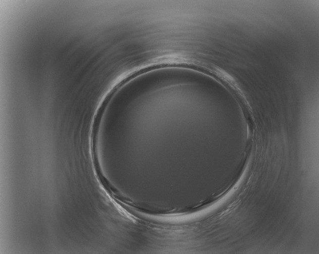 X0000056351334200509021712