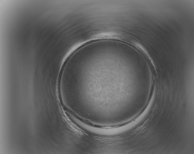 X0000056351336200509021712