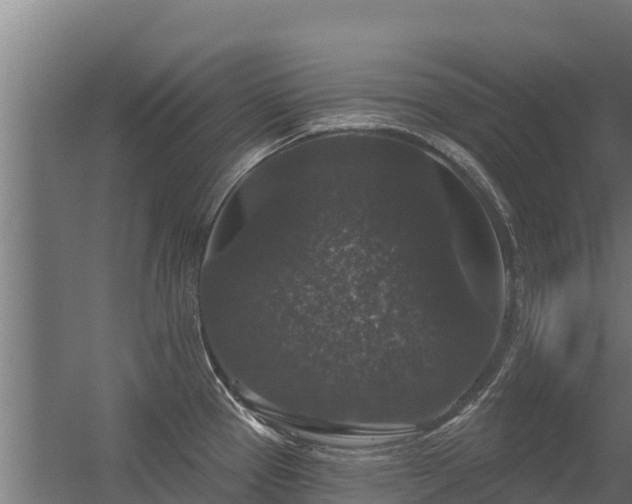 X0000056351337200509021712